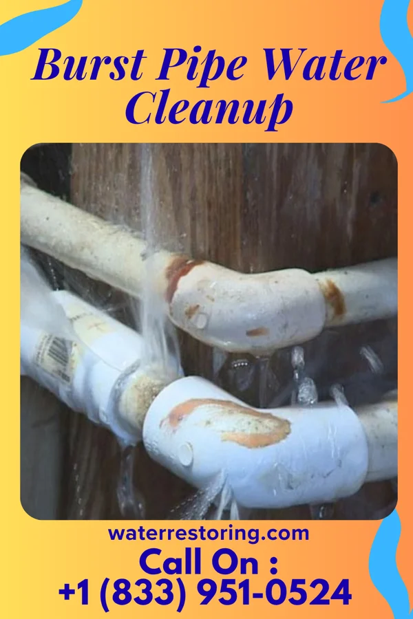 Burst Pipe Water Cleanup in Victoria, VA