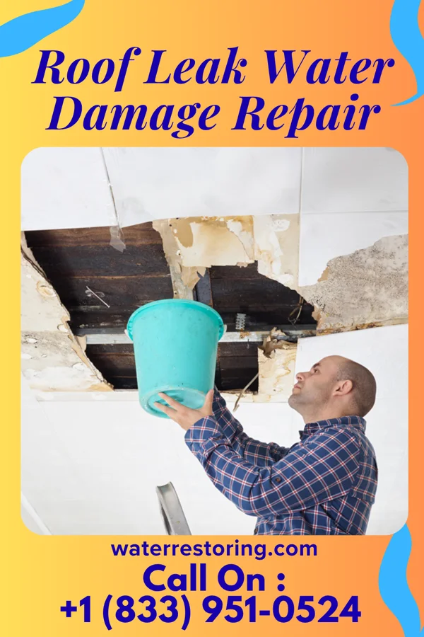 Roof Leak Water Damage Repair in Victoria, VA