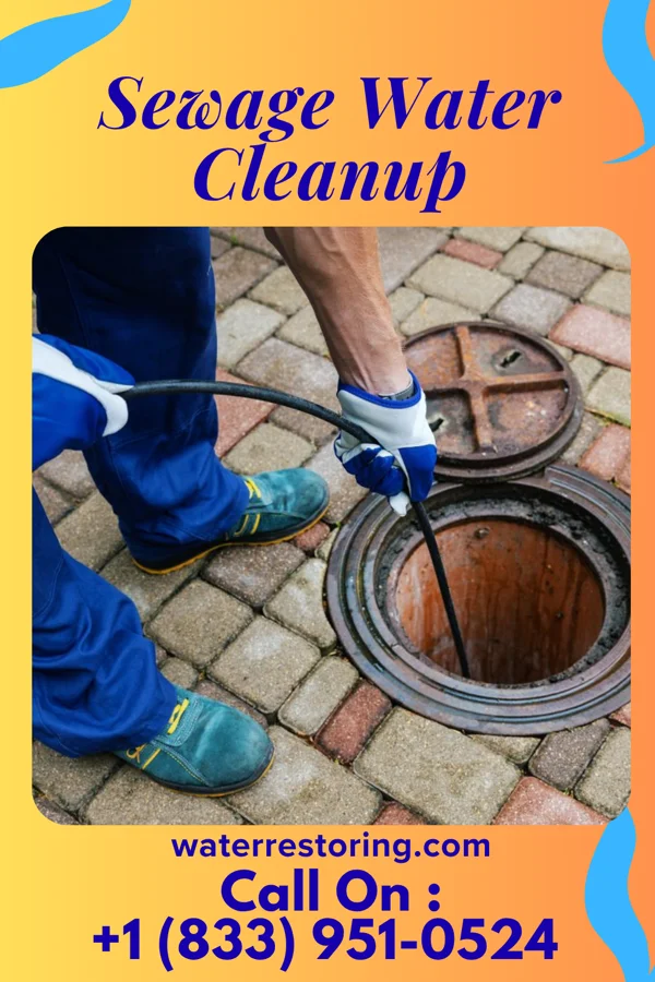 Sewage Water Cleanup in Victoria, VA