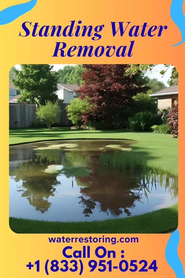 Standing Water Removal in Victoria, VA